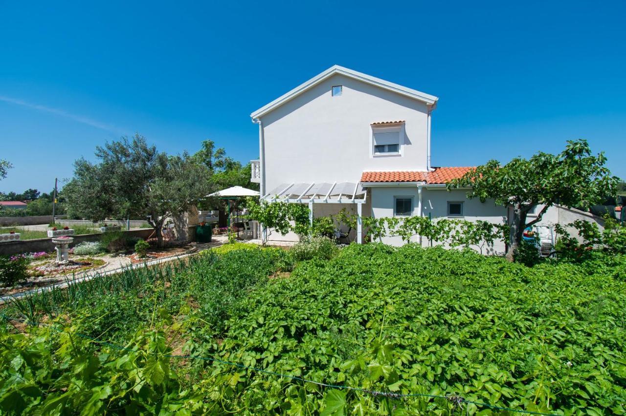 Apartment Ivan Vrsi Exterior photo